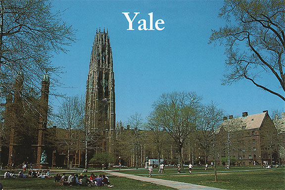 Yale University New Haven, Connecticut Postcard